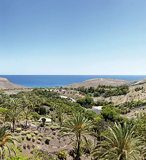 Oasis Wildlife Fuerteventura